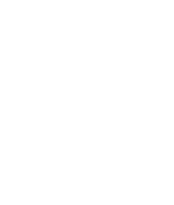 Toit de Paris